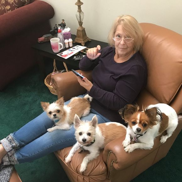 ladydodad